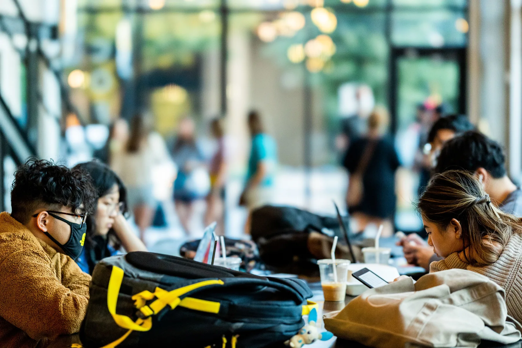University students studying together